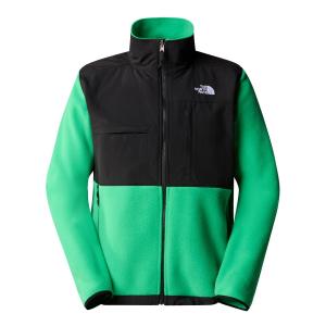 The North Face Polar Denali Nf0A7Ur2Po8