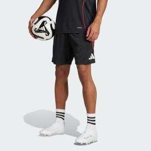 Szorty Ajax Amsterdam Tiro 25 Competition Training