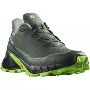 Buty do biegania męskie Salomon Alphacross 5