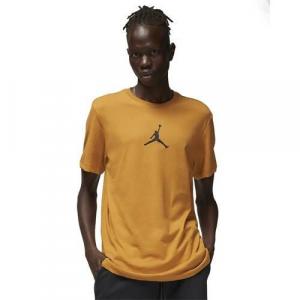 Koszulka sportowa męska Nike M Jordan Jumpman Df Ss Crew