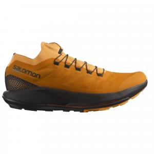 Buty do biegania męskie Salomon Pulsar Trail Pro