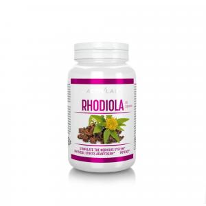 Różeniec górski Rhodiola Activlab