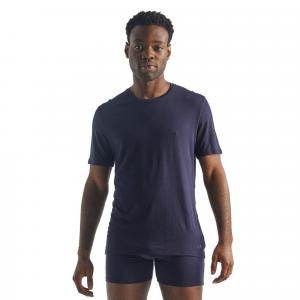 Koszulka męska Icebreaker Anatomica SS Crewe Snow T-Shirt