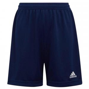 Spodenki piłkarskie junior Adidas Entrada 22