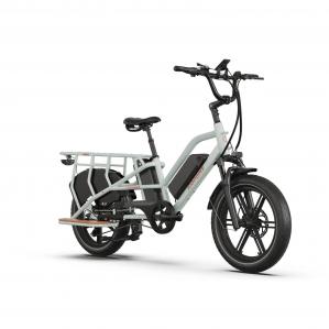 Elektryczny rower towarowy JOBOBIKE Transer 48V13AH Dual-Battery