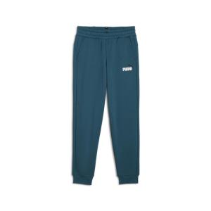 Puma Spodnie Ess+ 2 Col Logo Fl 58698808