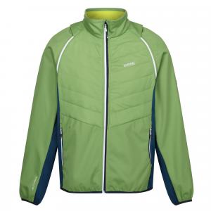 Męska Kurtka Hybrydowa Steren II Softshell