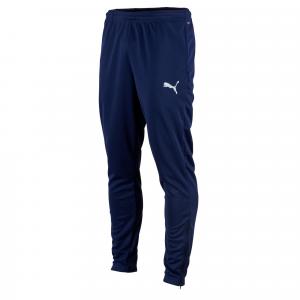 Spodnie piłkarskie dla dzieci Puma teamRISE Poly Training Pants Jr