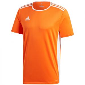 Koszulka piłkarska dla dzieci adidas Entrada 18 Jersey JUNIOR