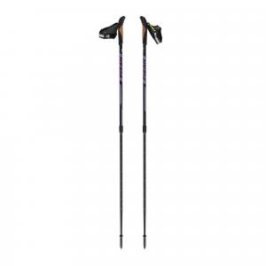 Kije nordic walking Fizan Speed