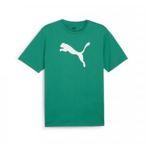 Koszulka męska Puma Team Rise Logo Jersey Cotton