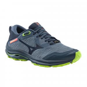 Buty do biegania damskie Mizuno Wave Rider GTX