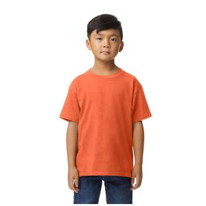 Koszulka Dziecięca/dziecięca Softstyle Midweight T-shirt