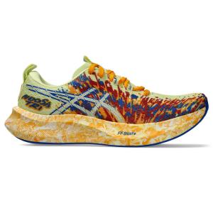 Buty do biegania męskie Asics Noosa Tri 16