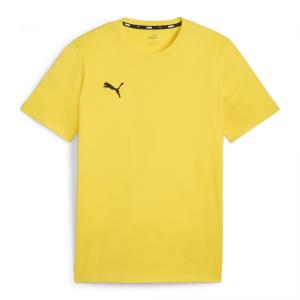 Koszulka męska Puma Team Goal Casuals Tee