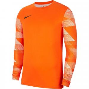 Bluza bramkarska męska Nike Dry Park IV JSY LS GK