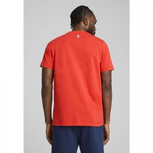 Męska koszulka Portugalia ftblNRGY PUMA Sport Red White