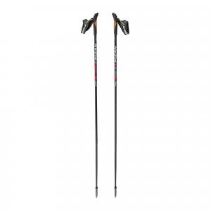 Kije nordic walking Fizan Lite