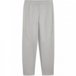 Męskie spodnie Evostripe PUMA Gray Echo