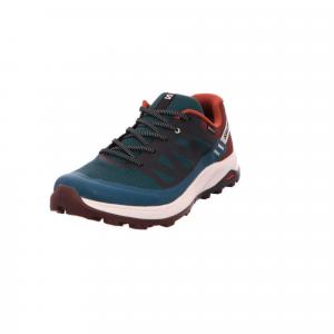 Buty trekkingowe męskie Salomon Outrise Gtx Gore-tex