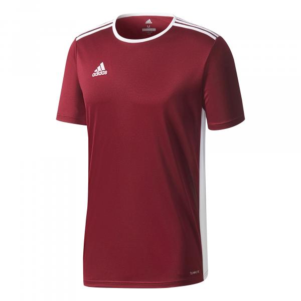 Koszulka dla dzieci adidas Entrada 18 Jersey Junior bordowa