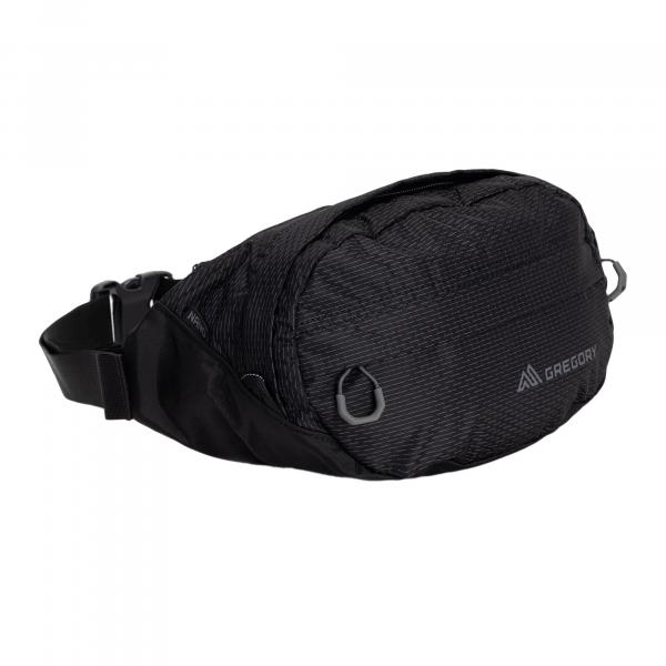 Saszetka nerka Gregory Nano Waistpack