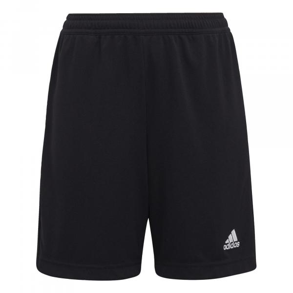 Entrada 22 Training Shorts