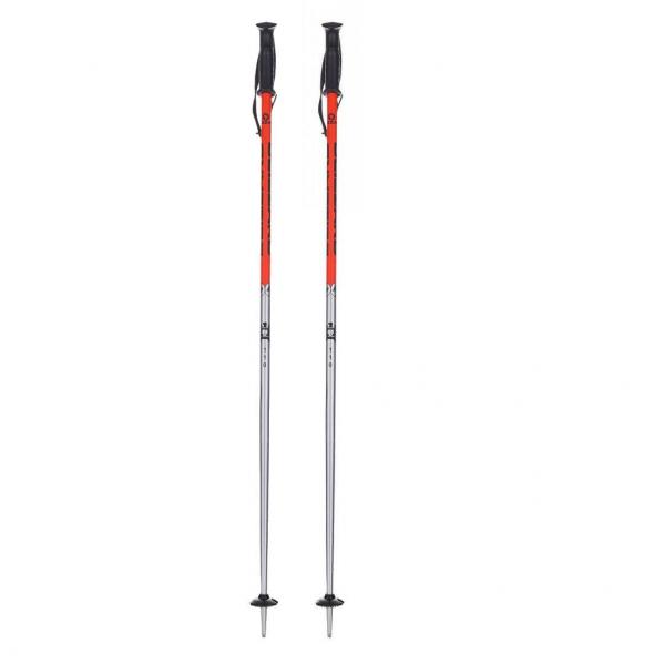 Kije zjazdowe Blizzard Sport Ski Poles