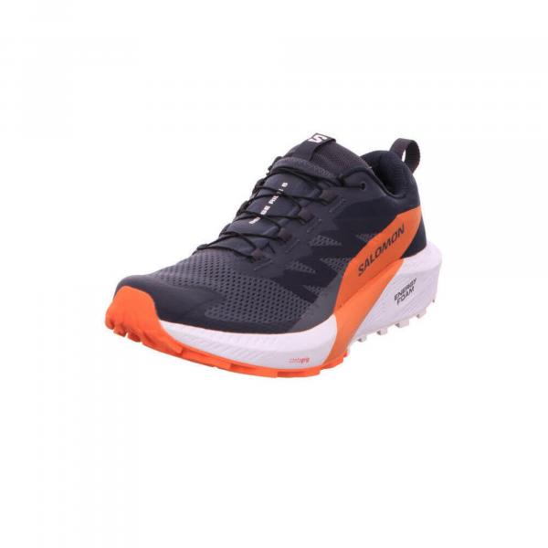 Buty do biegania męskie Salomon Sense Ride 5 Gtx Gore-tex