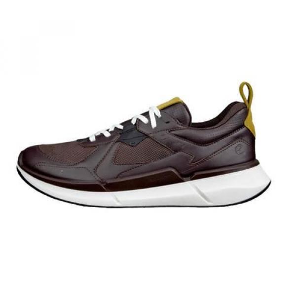 Buty do chodzenia męskie Ecco Biom 2.2 Gtx