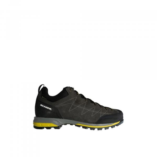 Buty trekkingowe męskie Zodiac GTX