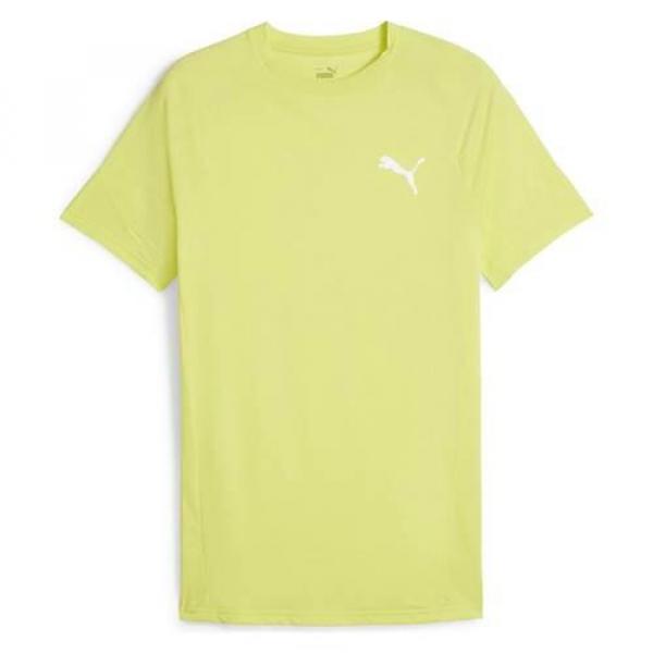 Koszulka sportowa męska Puma Evostripe Tee
