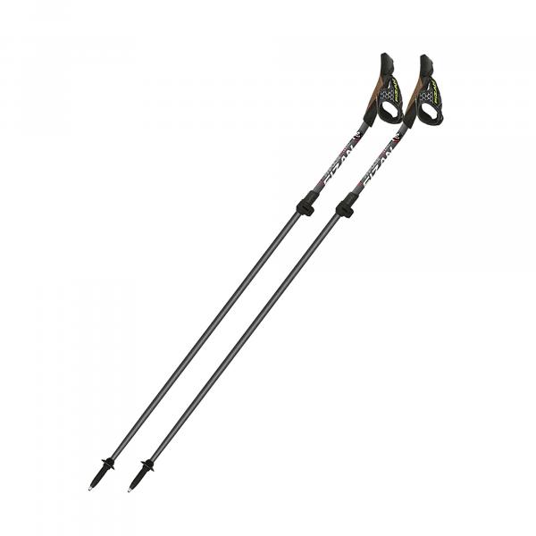 Kije nordic walking Fizan Tecno Impulse