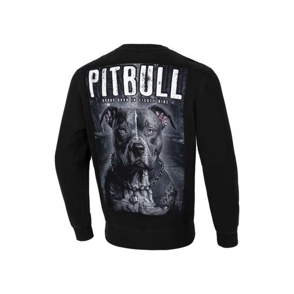 Bluza męska Pitbull Street King