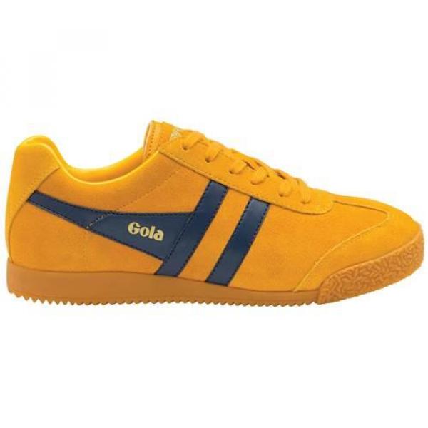 Buty do chodzenia męskie Gola Harrier Suede