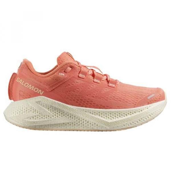 Buty do biegania damskie Salomon Aero Glide 3