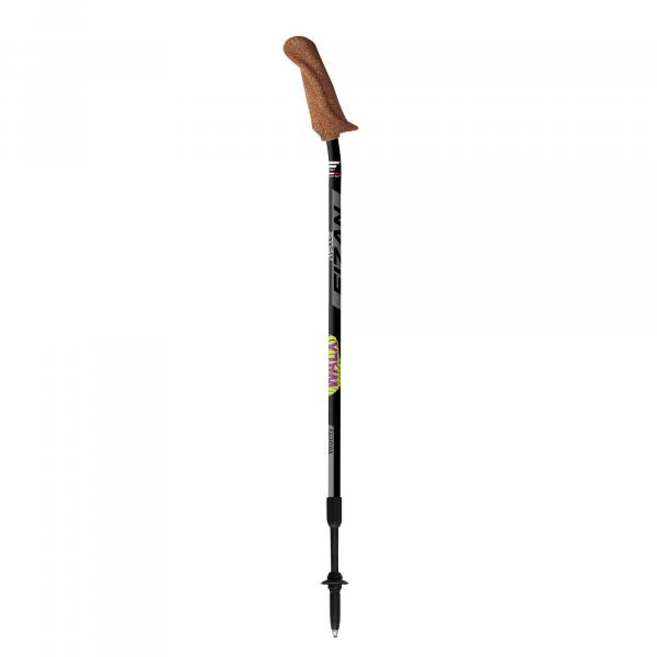 Kije nordic walking Fizan Walx Velocity