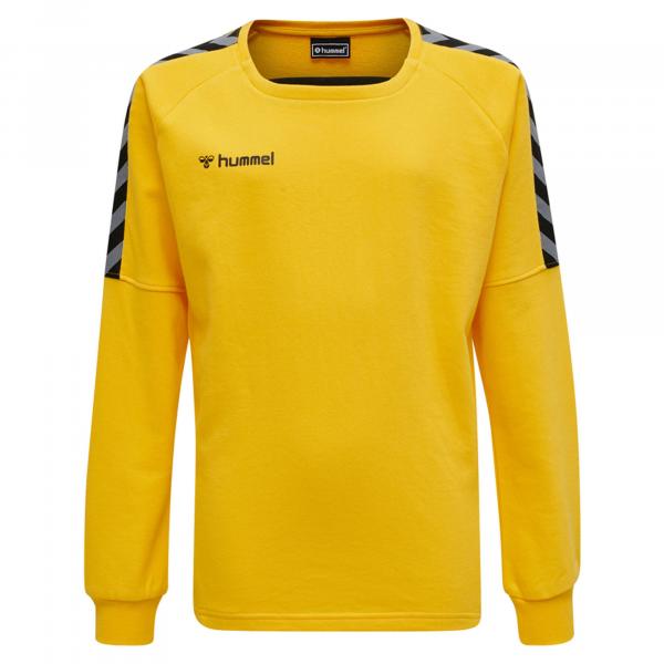 Bluza do piłki ręcznej dla dzieci Hummel hmlAUTHENTIC Training
