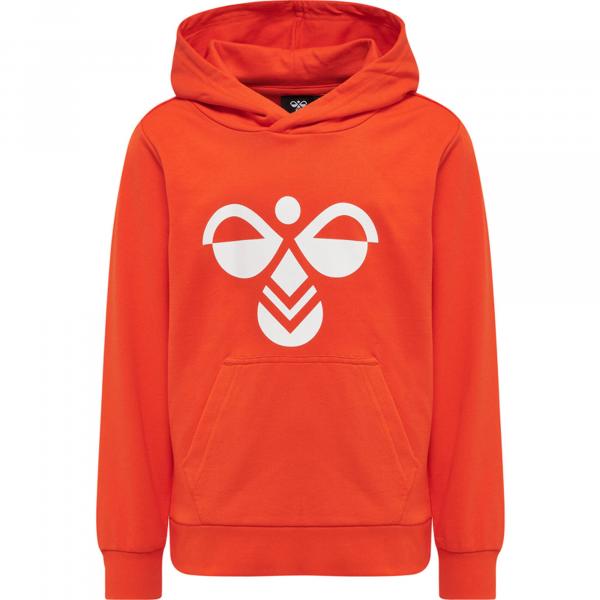 Bluza z kapturem dla dzieci Hummel Cuatro