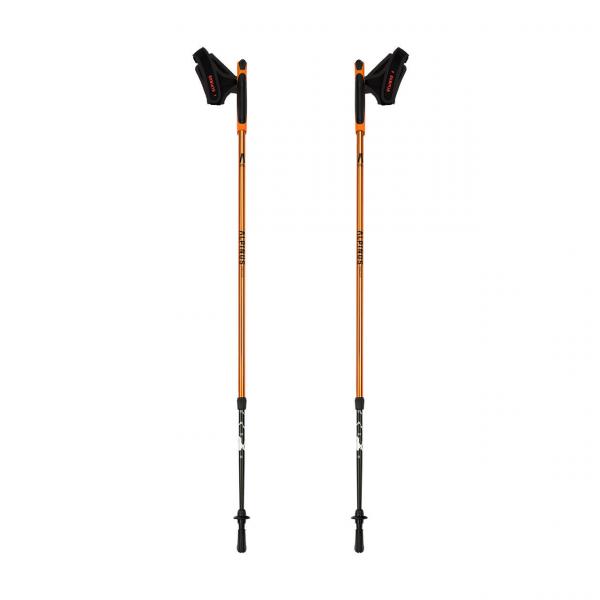 Kijki nordic walking Alpinus Kungsleden
