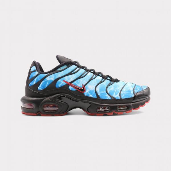 Buty sportowe męskie Nike Air Max Plus