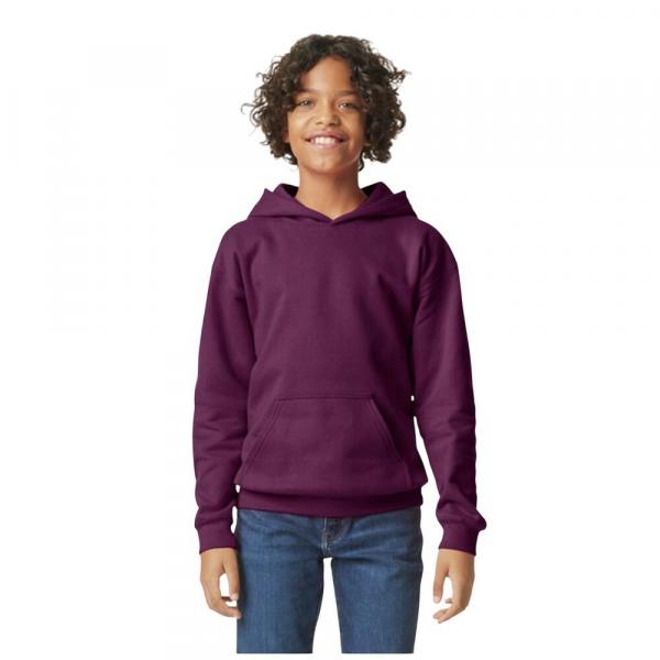 Bluza Dziecięca/dziecięca Softstyle Plain Fleece Midweight Hoodie