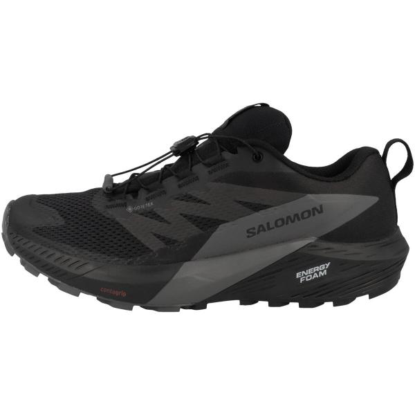 Buty do biegania męskie Salomon Sense Ride 5 Gtx