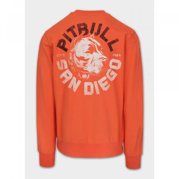Bluza męska Pitbull DOG SD