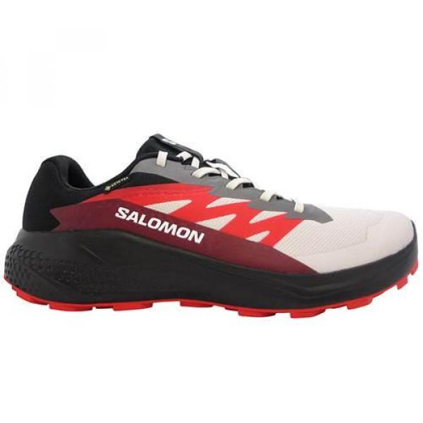 Buty do biegania męskie Salomon Alphaglide Gtx
