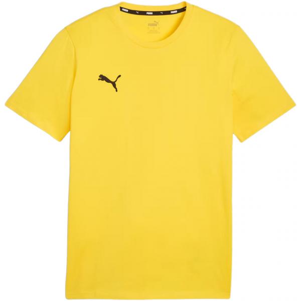 Koszulka męska Puma Team Goal Casuals Tee