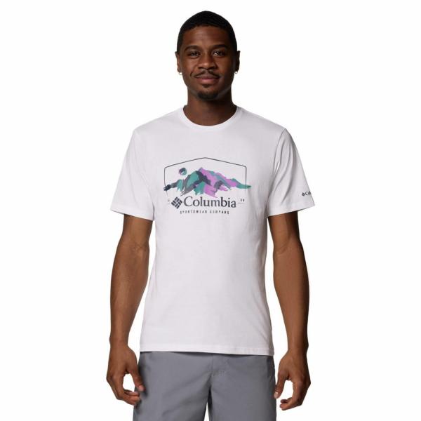 T-shirt bawełniany męski Columbia Path Lake Graphic Tee II z krótkim rękawem