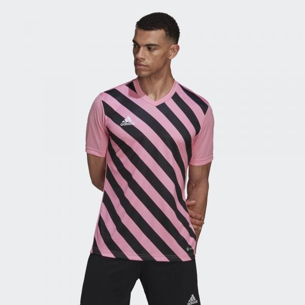 Jersey adidas Entrada 22 Graphic