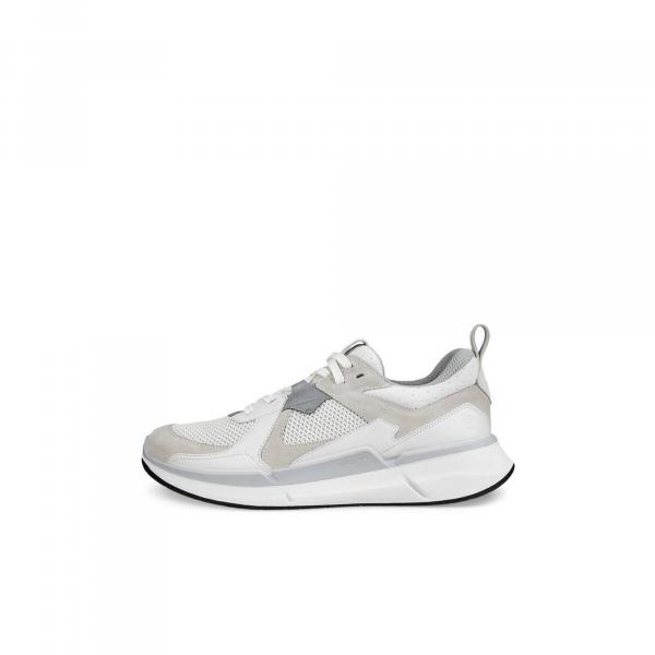 Buty do chodzenia męskie Ecco Biom 2.2