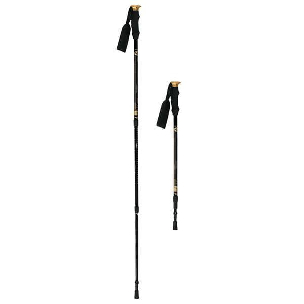 Kije trekking/nordic walking 50% Carbon Nils NW-TK19